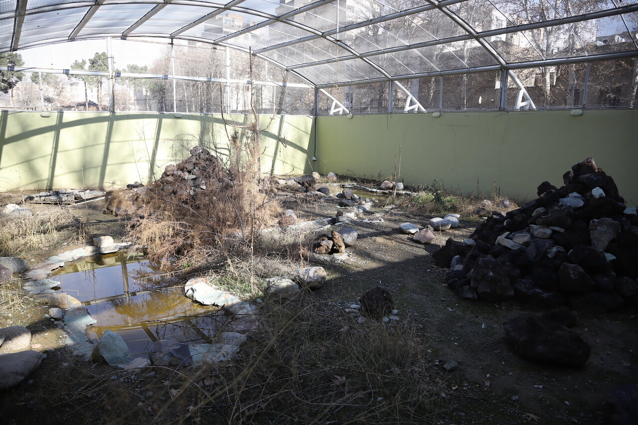 کار این مرد شناسایی مار برای گرفتن زهر مار است | یک حقیقت درباره رقص هندی مارها و مهرههایشان | مردم مارها را میکشند چون...