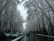 تهران فردا هم برفی است | کاهش محسوس دما تا چهارشنبه