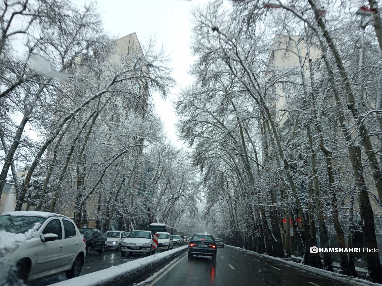 زیباترین حالت خیابان ولیعصر تهران با درختان پر از برف | تصاویر