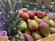 این میوه های لاکچری و گران در ایران تولید می شوند | اژدها و خارگیل کیلویی چند؟