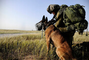 سگ‌های ارتش اسرائیل از کجا می‌آیند؟