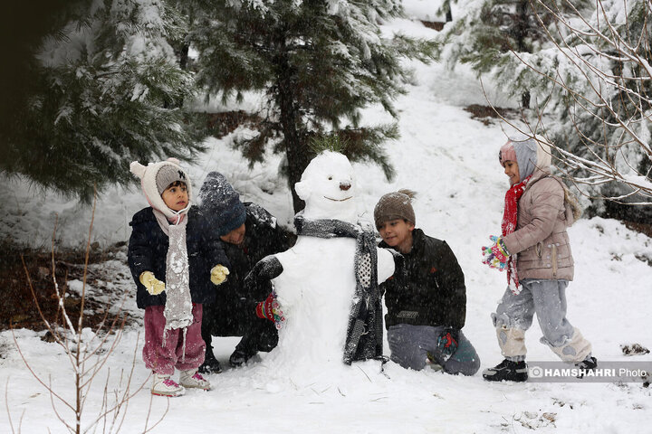 تصاویری از شادی و برف بازی مردم در روز برفی تهران