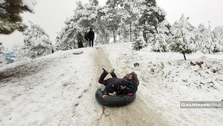 تصاویری از شادی و برف بازی مردم در روز برفی تهران