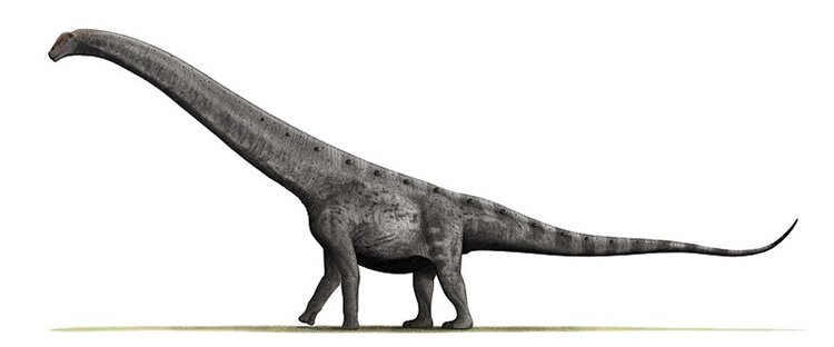 بزرگ‌ترین دایناسور تاریخ این گونه نابود شد | سرنوشت شوم برای دایناسور آرژانتینی