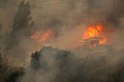 تصاویری از وقوع حریق مهیب در شیلی | ۴۶ نفر در آتش‌سوزی‌های جنگلی سوختند | ببینید