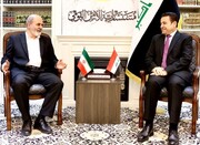 جزئیات دیدار دبیرکل شورای امنیت ملی با مشاور امنیت ملی عراق