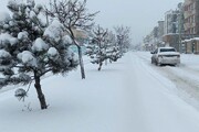 بارش زیبای برف در خیابان‌های نیاوران | حجم برف را ببینید