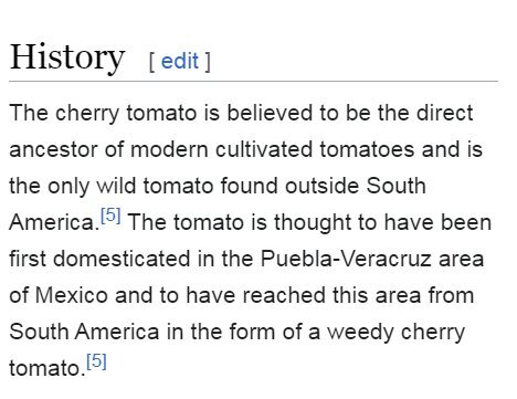 گوجه گیلاسی اختراع اسرائیل است؟ | ادعای رسانه اسرائیلی درباره یکی از بازدیدهای رهبری