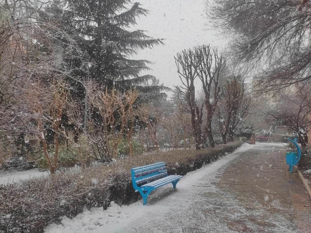 بوستان حصارک و قصه تنها زمینبازی بچههای جماران