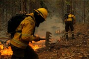 آتش سوزی در جنگل های نمک آبرود | باز هم سهل انگاری گردشگران حادثه آفرید