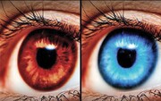 تأثیر رنگ چشم‌ در زندگی | نتایج جالب یک تحقیق جدید