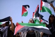 تحصن دانشجویان دانشگاه هاروارد برای اعتراض به قتل عام در رفح و غزه | ببینید