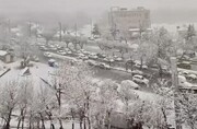 تصاویر بارش شدید برف در همدان + فیلم