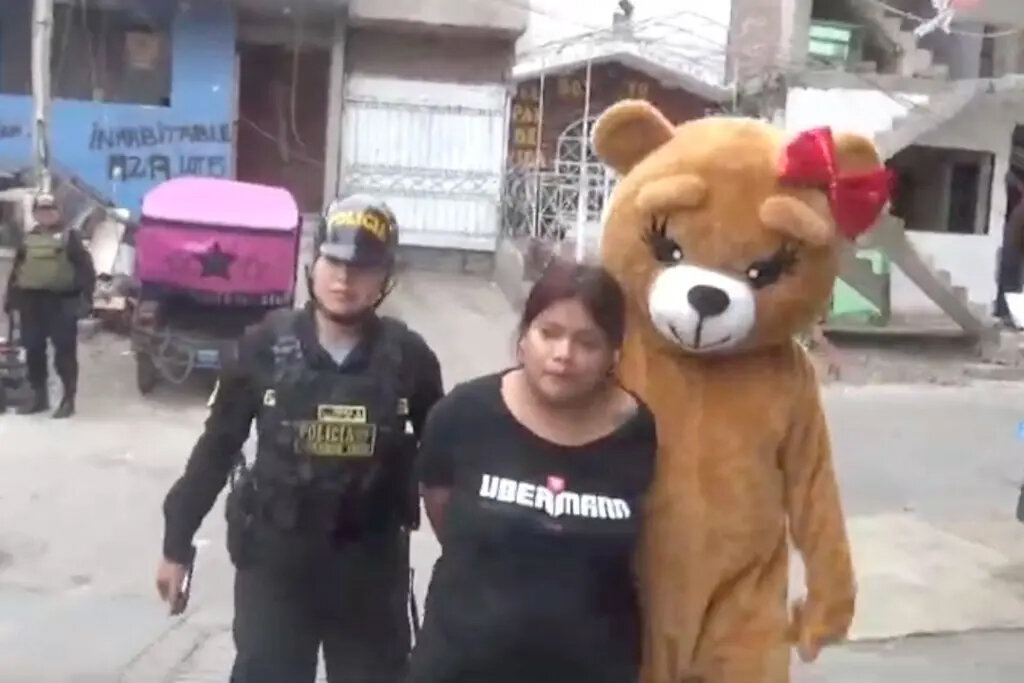 پلیس مخفی پرو