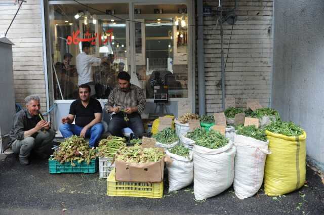 از بهستان تا گندمزارهای شعله | گلههای ۵هزارتایی راهی کوههای جماران میشدند