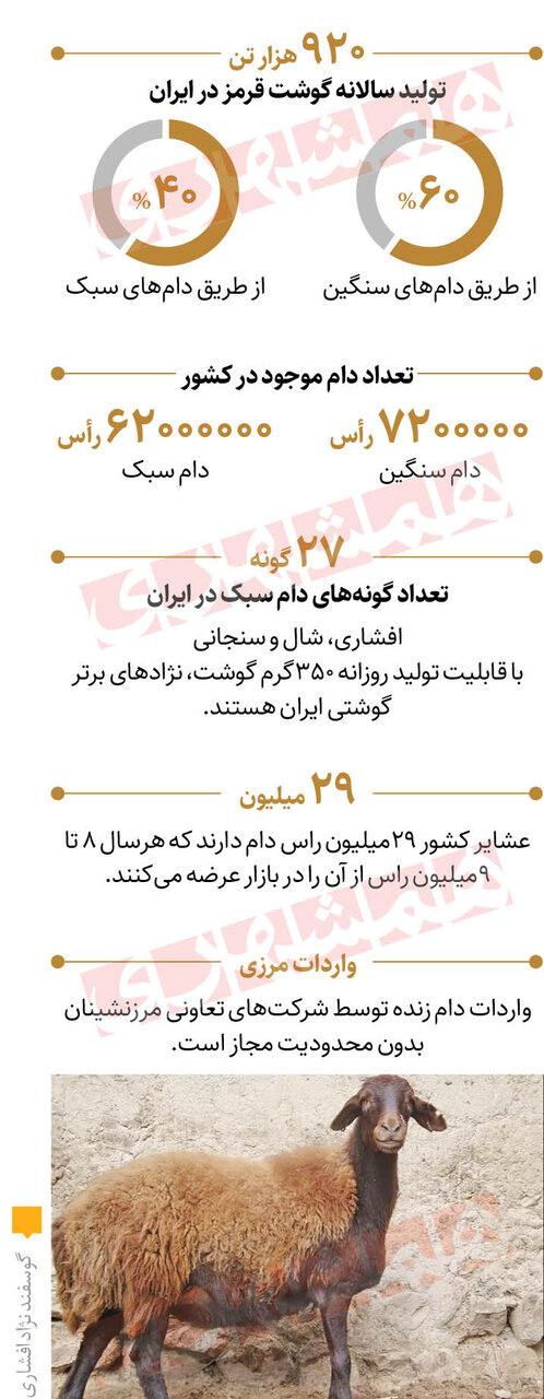 وضعیت دامپروری کشور به روایت آمار | تولید گوشت قرمز در ایران چقدر است؟