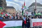 تظاهرات حامیان فلسطین مقابل شرکت کارفور در فرانسه | ببینید