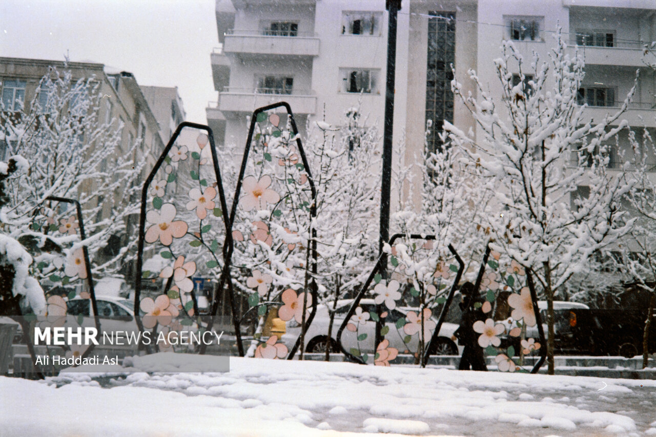 خاطرات شیرین روزهای برفی | تصاویر