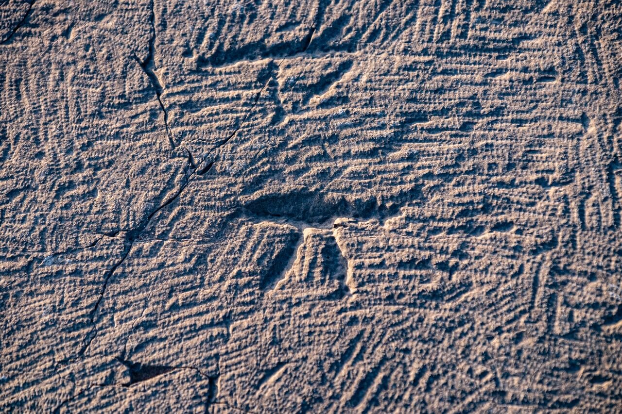 امضای معماران تخت جمشید را دارم | جمع آوری 700 امضا از هنرمندان سازنده تخت جمشید