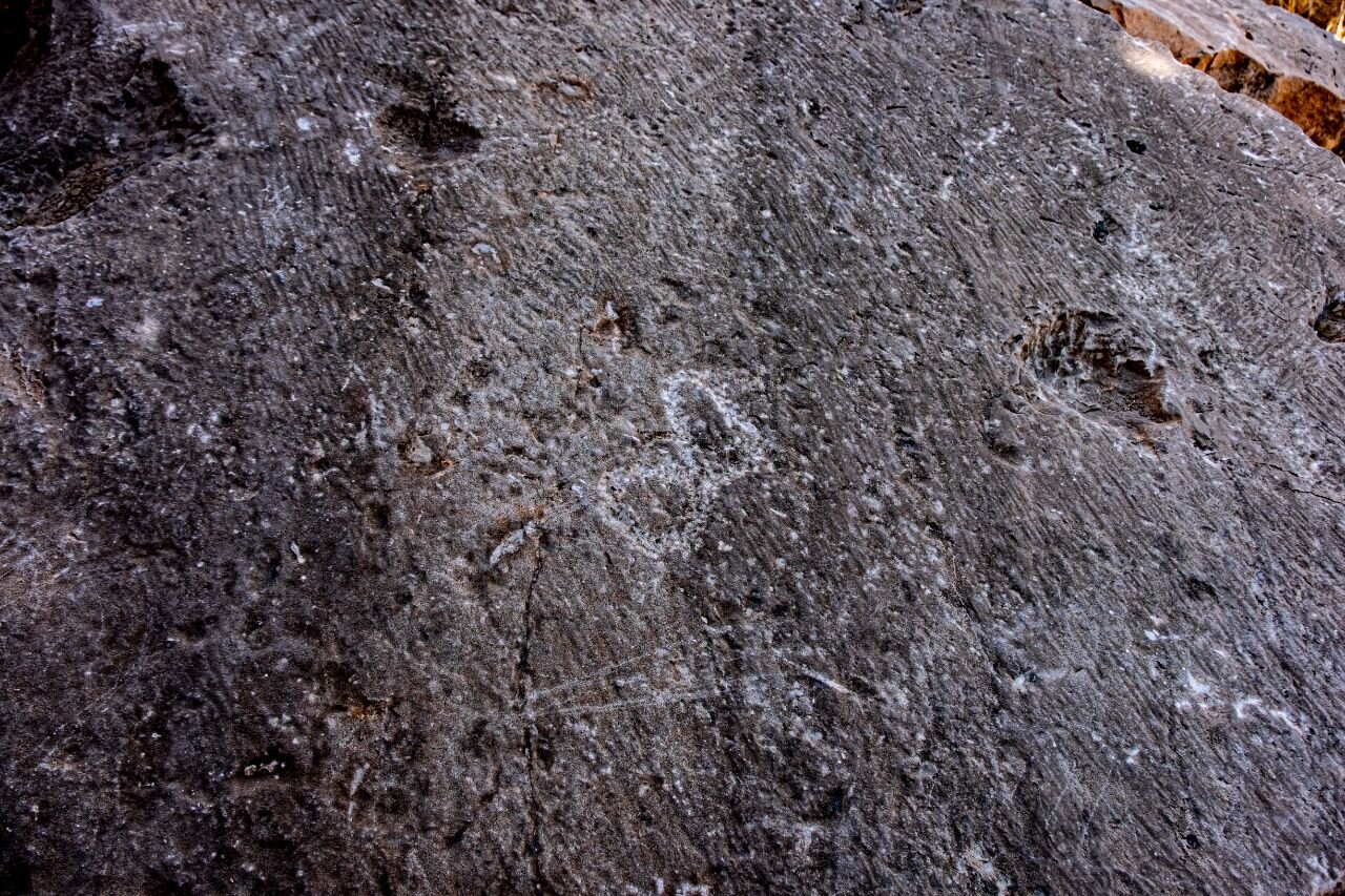 امضای معماران تخت جمشید را دارم | جمع آوری 700 امضا از هنرمندان سازنده تخت جمشید