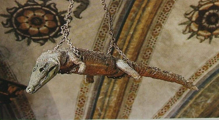 تمساح کلیسا ایتالیا