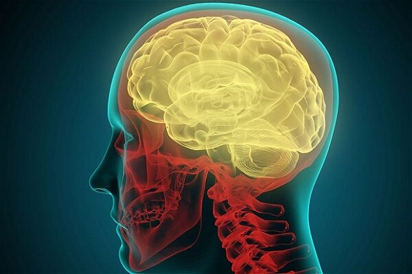 لیست بیماریهای مغز و اعصاب