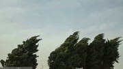 جلوه ای از قدرت وزش باد در زنجان + فیلم