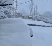تصاویر بارش سنگین برف در سپیدانه فارسان + فیلم