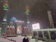 تصاویری دیدنی از بارش برف در امامزاده صالح (ع) | ببینید