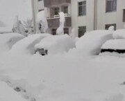 خودروها در رشت زیر برف دفن شدند + فیلم | تمام پروازهای فرودگاه رشت لغو شد