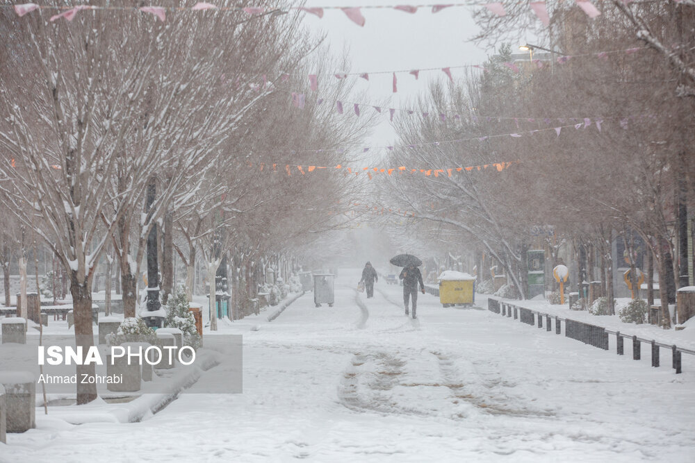 بارش برف در استان قم
