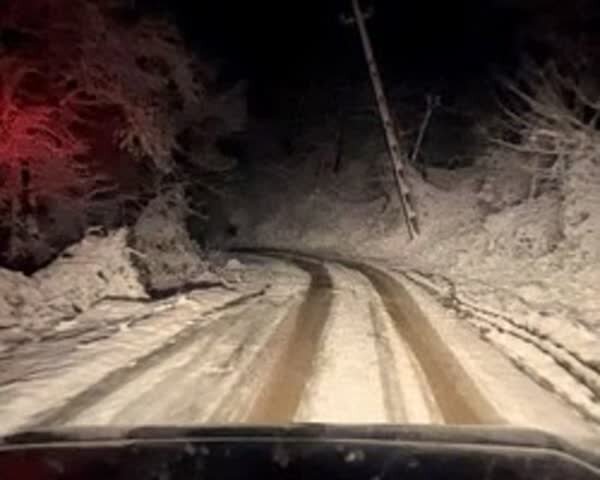 تولد نوزاد عجول در دل برف