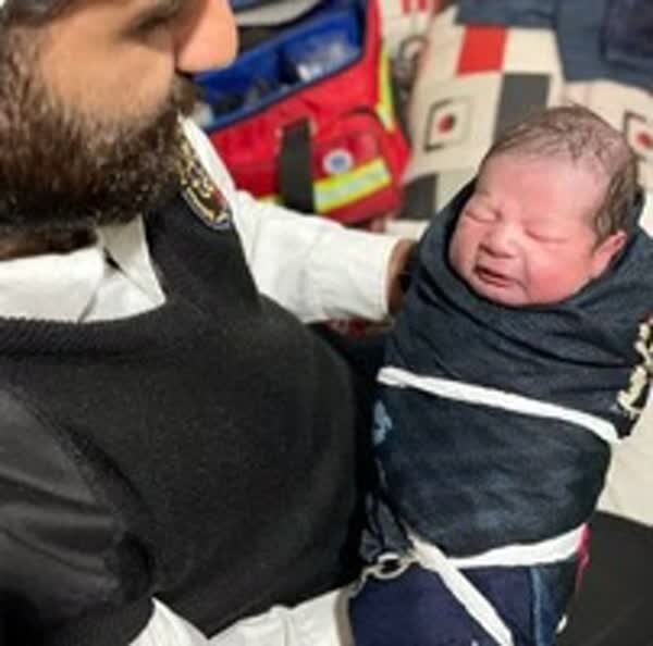 تولد نوزاد عجول در دل برف