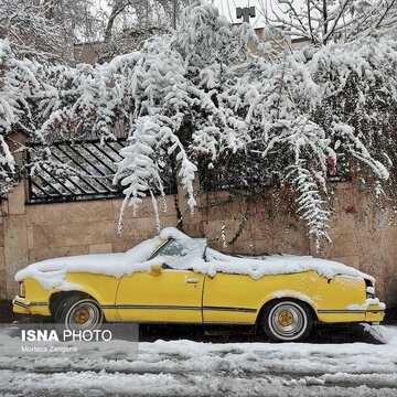 برف در شمال تهران