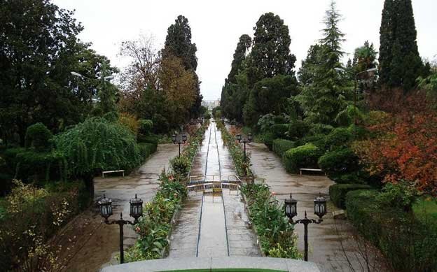 درختی که محصولش ناسزاست