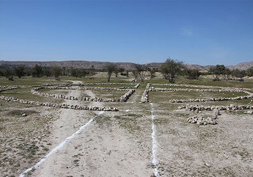 باورنکردنی ؛ صدور مجوز کاشت گل نرگس در شهر باستانی بیشاپور | تصاویر و جزئیات