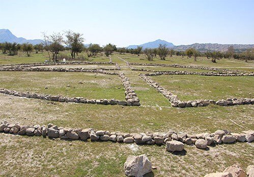 باورنکردنی ؛ صدور مجوز کاشت گل نرگس در شهر باستانی بیشاپور | تصاویر و جزئیات