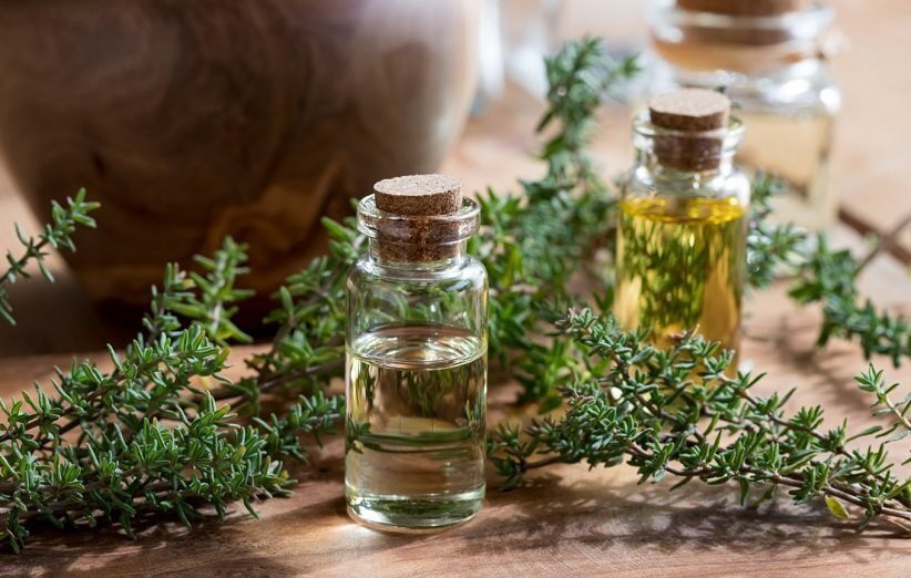 ۵ گیاه و ادویه مناسب بیماریهای تنفسی