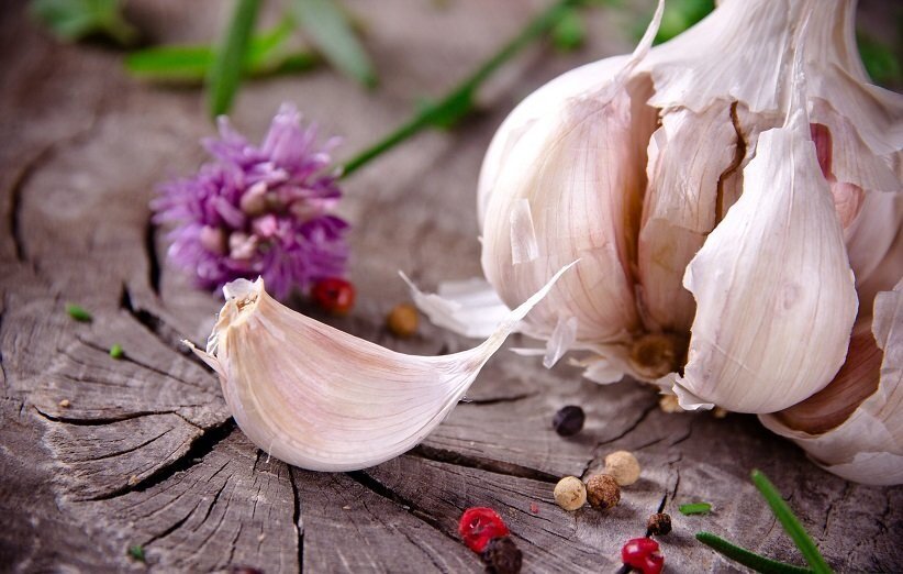 ۵ گیاه و ادویه مناسب بیماریهای تنفسی