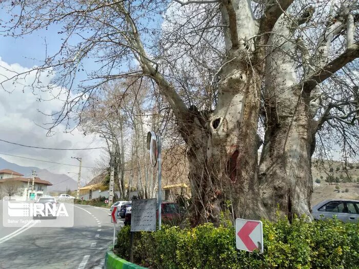 مسیر سبز بلوک غار تا بقعه قاضیالصابر