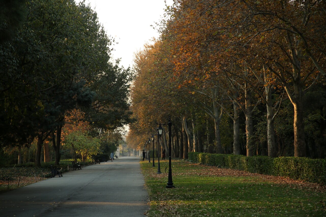 زندگی مسالمتآمیز ۴هزار گونه در کنار هم