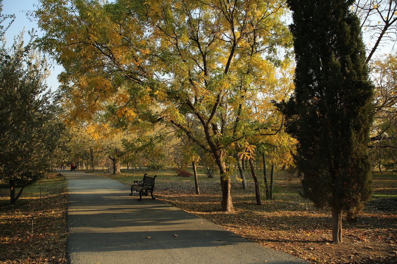 زندگی مسالمتآمیز ۴هزار گونه در کنار هم