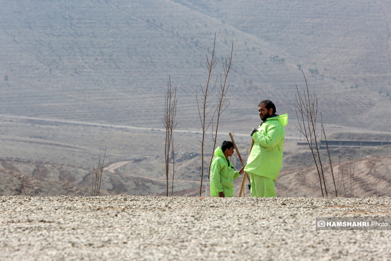 مراسم درختکاری ویژه اصحاب رسانه و بهره برداری از۲۰۰۰ هکتار جنگل‌کاری در طرح کمربند سبز تهران