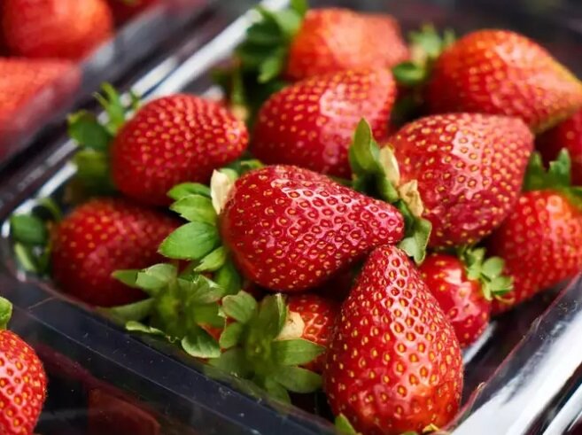 ۵ غذای آبرسان برای بدن