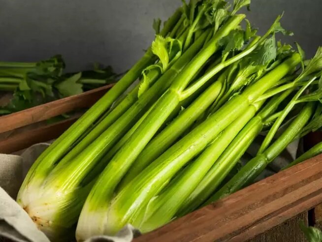 ۵ غذای آبرسان برای بدن