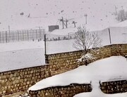 تصاویر بارش شدید برف در کوهرنگ + فیلم