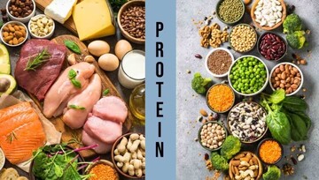 پروتئین حیوانی یا پروتئین گیاهی ؛ کدام یک بهتر است؟