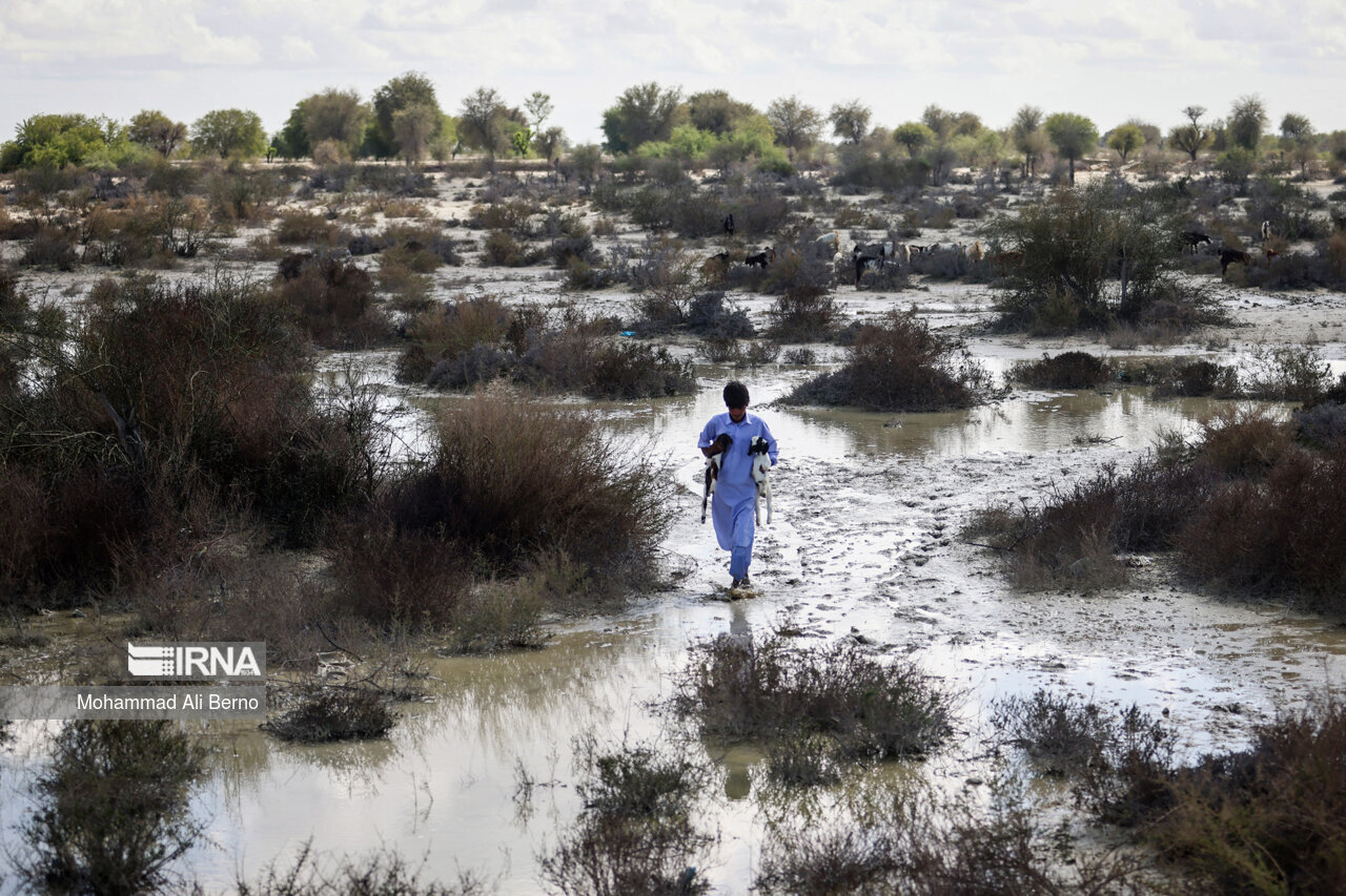 ال نینو تمام شد؟ | آیا خنک شدن اقیانوس آرام پایان خشکسالی در ایران است؟