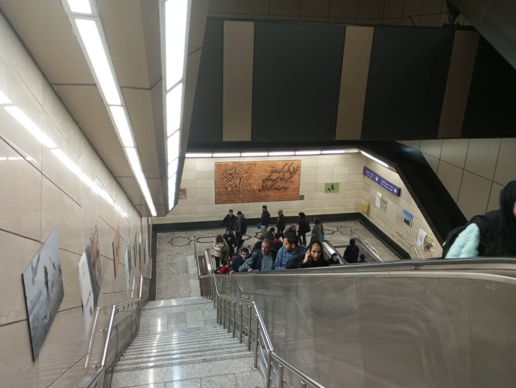 از دیدن این حیوانات در مترو تهران تعجب نکنید
