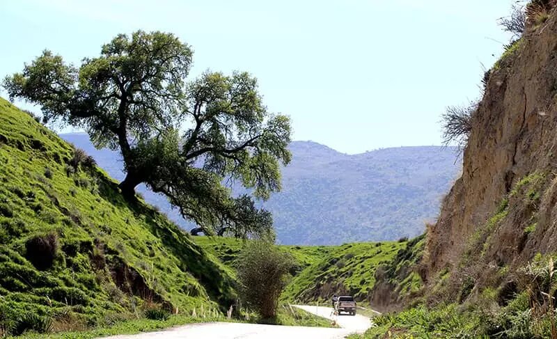 اینجا بهشت سرسبز خوزستان است | دشت سوسن بهشت خوزستان
